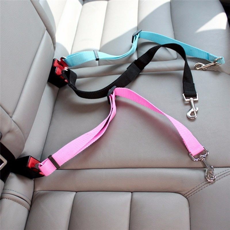 Travel Accessories For Dogs - Sabuk Pengaman Mobil untuk Kucing, Aksesoris