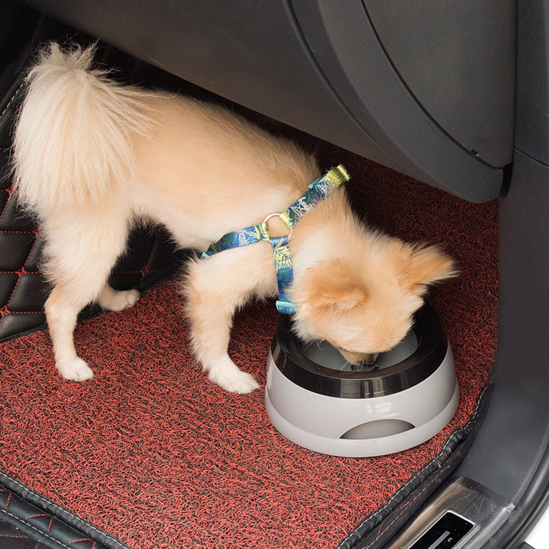 Mangkuk Anjing Peliharaan Meng - Travel Accessories For Dogs ulasan dan harga