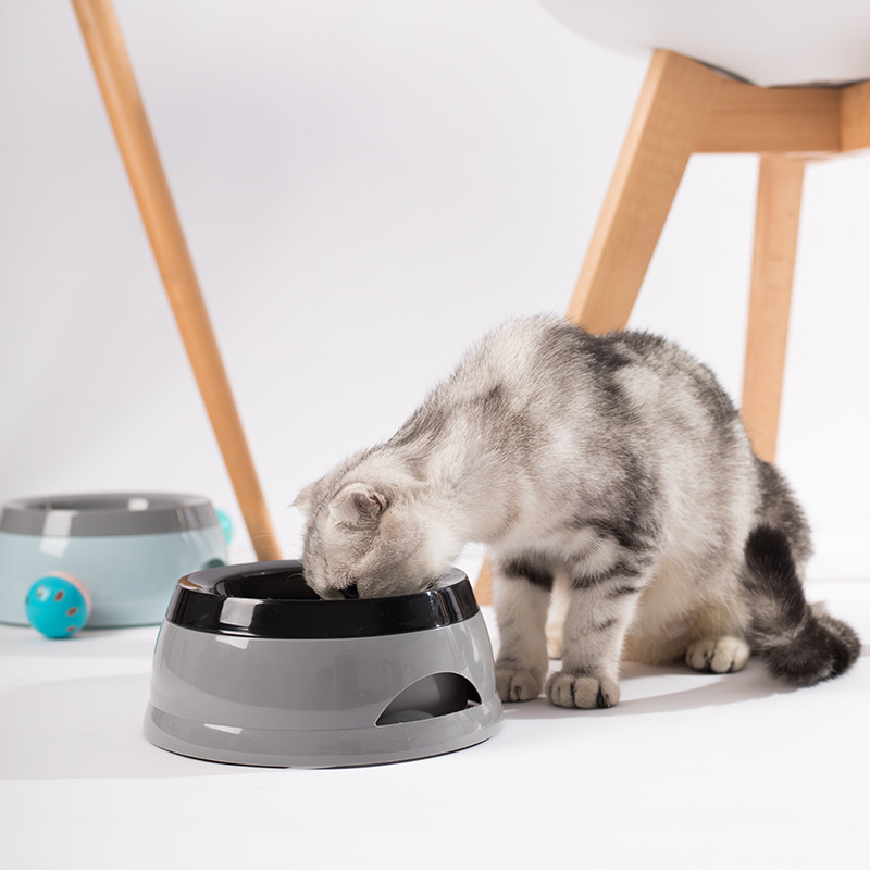 Mangkuk Anjing Peliharaan Meng - Travel Accessories For Dogs ulasan dan harga