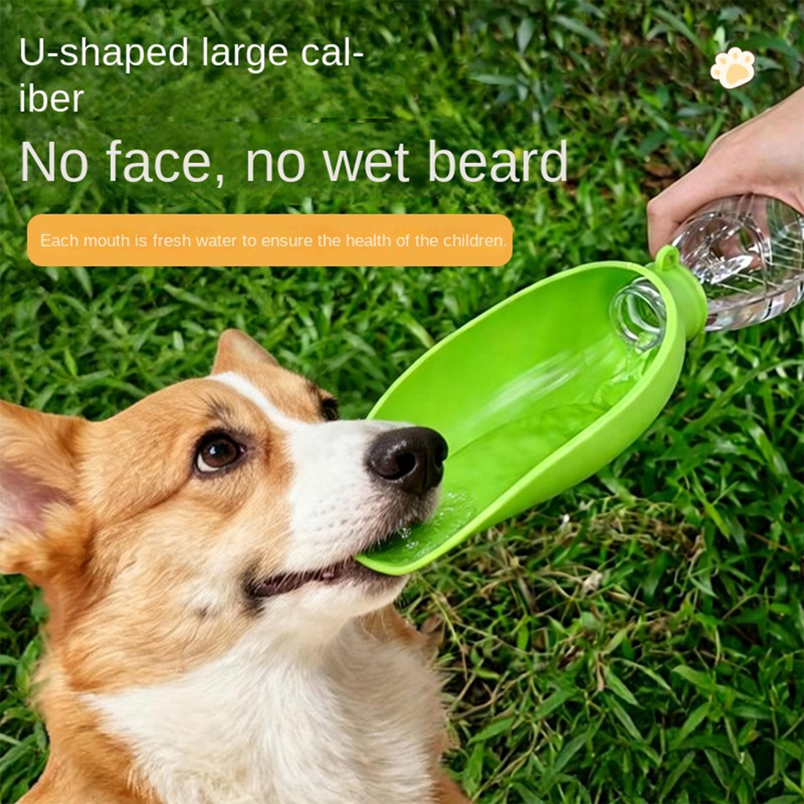 Mangkuk Air Lipat Silikon untu - Travel Accessories For Dogs ulasan dan harga
