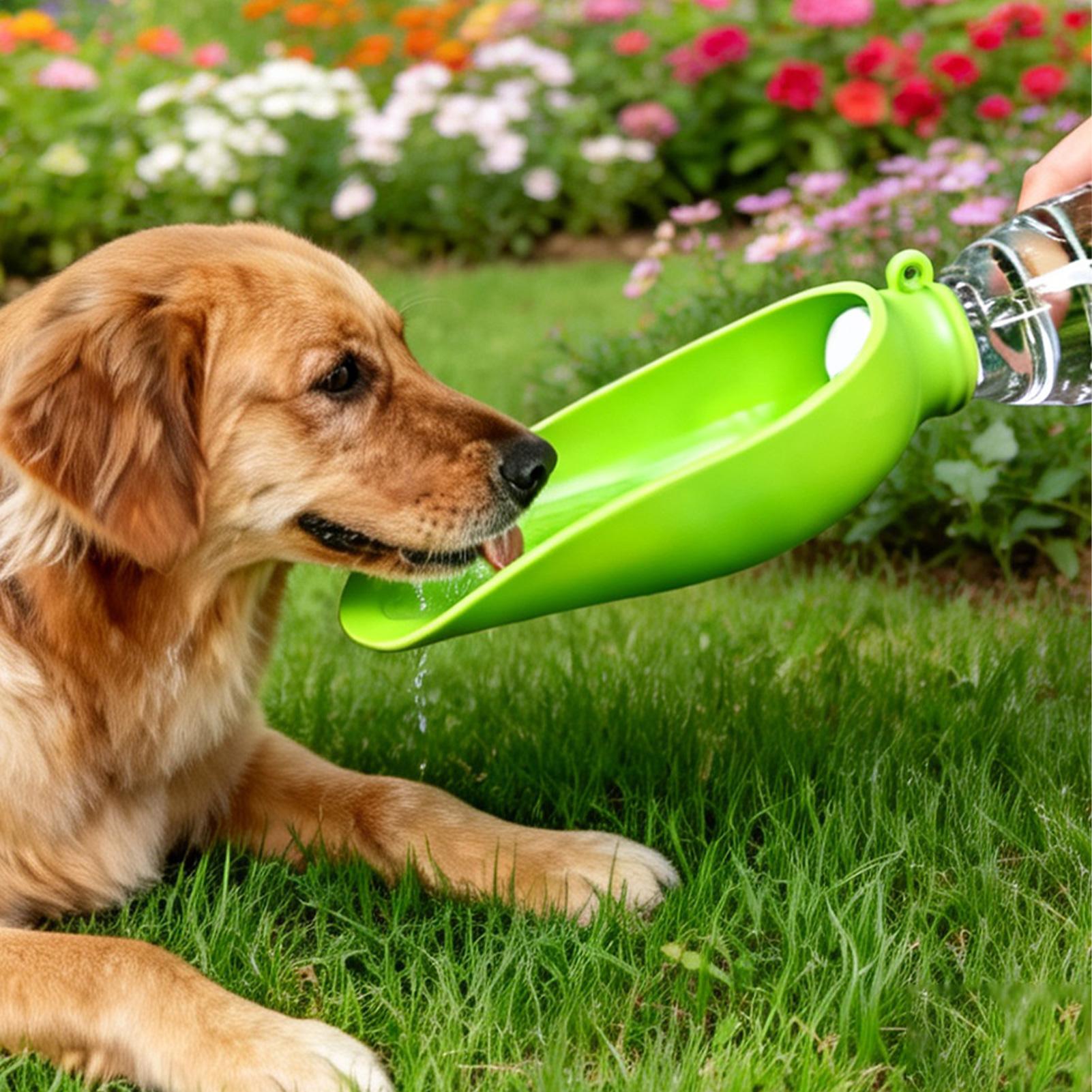 Mangkuk Air Lipat Silikon untu - Travel Accessories For Dogs ulasan dan harga